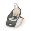 INGENUITY Hojdačka vibrujúca s melódiou Every Season™ - Wesley™ 0 m+, do 18 kg
