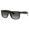Ray-Ban RB4165 601 8G