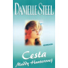 Cesta Maddy Hunterovej - Danielle Steelová