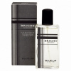 Blue Up Bright Gentleman, Toaletná voda 100ml (Alternativa parfemu Burberry Brit for Man) pre mužov