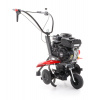 V-Garden PUBERT ARO 2 + 1 65B C3