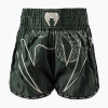 Pánske tréningové šortky Venum Serpenti Muay Thai khaki/bronze/ivory