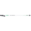 EXEL AP50 WHITE GREEN 120cm - sjezdové karbonové hole