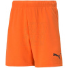 Trenky Puma teamRise Short Jr 704943 08