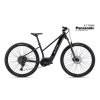 CTM ROXXY GX PRO 2025