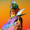CD Flume: Palaces LTD | DLX | DIGI