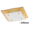 Rabalux JUNE LED stropné svietidlo 3032
