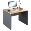 Tempo Kondela Písací stôl, grafit/dub artisan, RIOMA NEW TYP 12 (100x76x80cm)