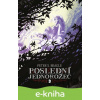 E-kniha Poslední jednorožec - Peter S. Beagle