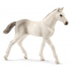 SCHLEICH Horse Club® 13860 Holštýnský kůň - hříbě