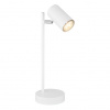 Globo 57910TW