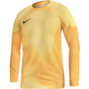 Nike Gardien IV Goalkeeper JSY M DH7967 719 goalkeeper shirt (115596) Black M
