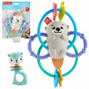 Hryzátko na prerezávanie zúbkov s hrkálkou Fisher-Price, viacfarebná tkanina