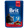 Brit Premium (VAFO Praha s.r.o.) Brit Premium Cat Pouches with Beef Stew & Peas 100 g