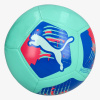 Puma Big Cat ball 5