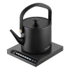 BM 501 Victoria konvice Catler (BM 501 Victoria)