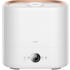 Deerma ST636W