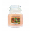 Yankee Candle Tranquil Garden 411 g