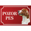 Welšský špringeršpaniel - Kovová tabuľka POZOR PES