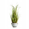 UMELÁ RASTLINA Tráva HOMLA