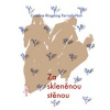 Za skleněnou stěnou - Caroline Ringskog Ferrada-Noli