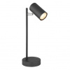 Globo 57910TB