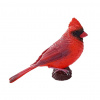 Mojo Kardinál červený