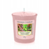Yankee Candle Mango Ice Cream 49 g