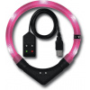 LEUCHTIE Easy Charge USB LED svietiaci obojok tmavoružový 42,5 cm