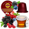 HERBATA W KAPSUŁKACH LIPTON PRE KÁVOVAR NESPRESSO, KOMPATIBILNÉ LESNÉ OVOCIE