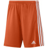 Adidas Squadra 21 M