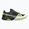 Bežecké topánky DYNAFIT Alpine DNA 2 nimbus/black out