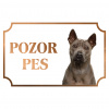 Thajský ridgeback - Kovová tabuľka POZOR PES