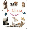 Mláďata