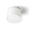 RENDL VENICE 23 stropná číre sklo/opálové sklo/chróm 230V LED E27 11W IP44