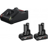 Bosch GAL 12V 40 + 2xGBA 6 Ah 1.600.A01.B20
