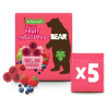 BEAR Fruit treasures berry jahoda a čučoriedka 5 x 20 g
