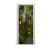Fototapeta na dvere chodník v lese 75x205