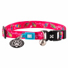 Max&Molly GOTCHA! Smart ID Cat Collar Magical - farebný obojok pre mačky s inteligentným príveskom Tag