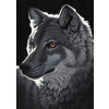 GRAFIKA Puzzle Nočný vlk 1000 dielikov