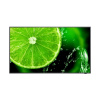 SHARP/NEC 65'' LED NEC E658,3840x2160,IPS,16/7,350cd 60005059
