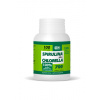 V Spirulina + chlorella 100 tabliet