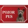 Thajský ridgeback - Kovová tabuľka POZOR PES