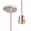 Rendl R11906