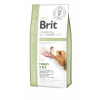 Brit gf veterinary diets dog Diabetes 2kg