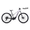 CTM ROXXY GX 2025