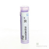 Laboratoires BOIRON RHUS TOXICODENDRON GRA HOM CH30 1x4 g