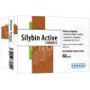 Generica Silybin Active complex 60 kapsúl