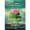 Zapomeňte na neděli - Valérie Perrin