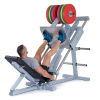 FITHAM Leg press na kotouče